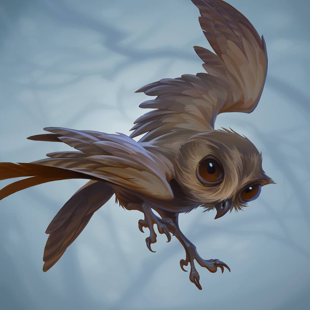 The Owlet